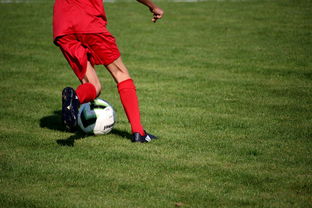 AC Milan-中国篮球青年运动员选拔体系研究，中国篮球国家青年队选拔方式